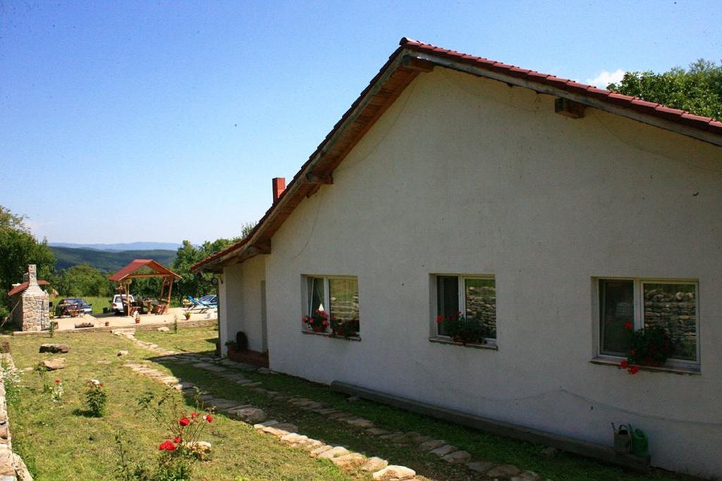 Cuibul Salamandrelor Hotel Sarmizegetusa Exterior foto
