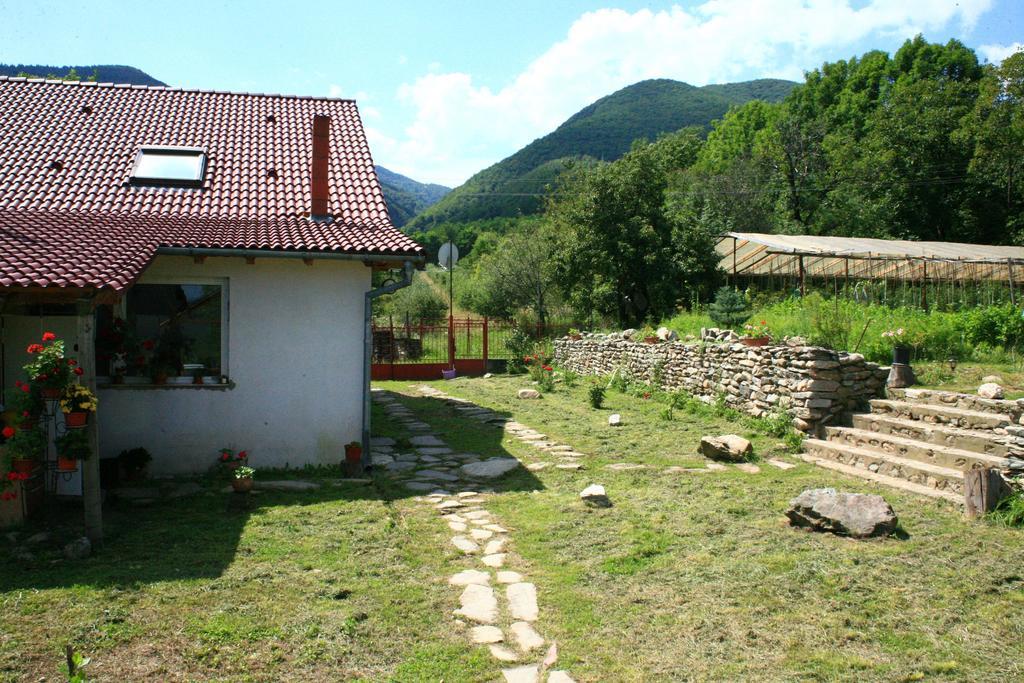 Cuibul Salamandrelor Hotel Sarmizegetusa Exterior foto